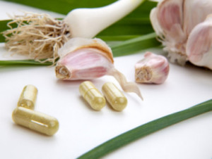 aged garlic extract benefits